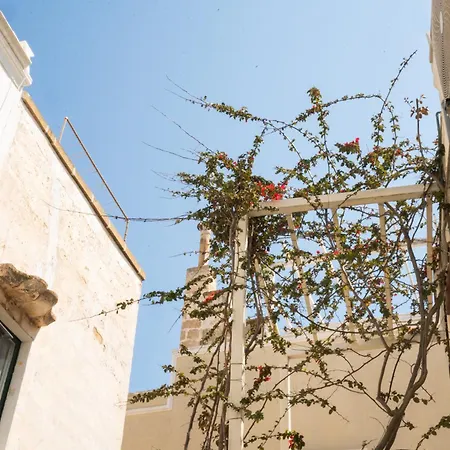 Casa vacanze Pantabrì - Casa Tipica Su Mare Nel Centro Storico Di Gallipoli